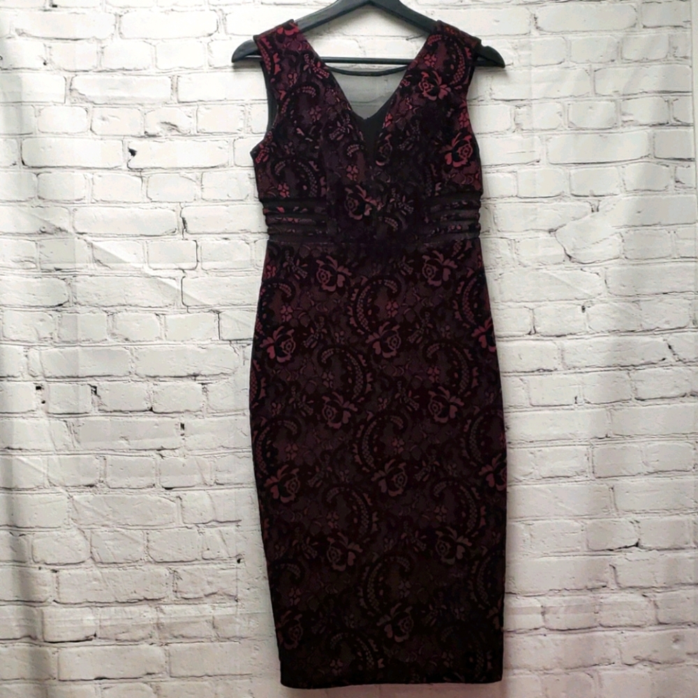 Enfocus dress bodycon plum dress